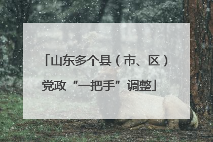 山东多个县（市、区）党政“一把手”调整