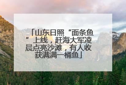 山东日照“面条鱼”上线，赶海大军凌晨点亮沙滩，有人收获满满一桶鱼