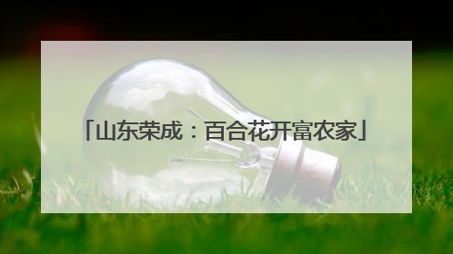 山东荣成：百合花开富农家