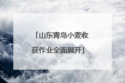 山东青岛小麦收获作业全面展开