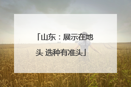 山东：展示在地头 选种有准头