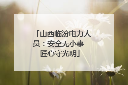 山西临汾电力人员：安全无小事 匠心守光明
