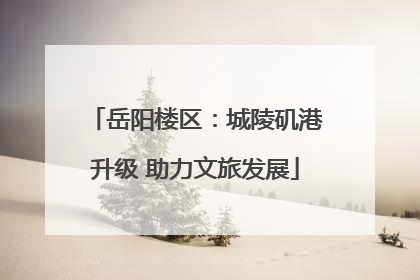 岳阳楼区：城陵矶港升级 助力文旅发展