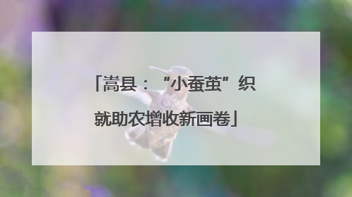 嵩县：“小蚕茧”织就助农增收新画卷