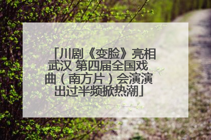 川剧《变脸》亮相武汉 第四届全国戏曲（南方片）会演演出过半频掀热潮