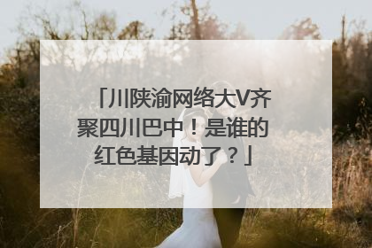 川陕渝网络大V齐聚四川巴中！是谁的红色基因动了？