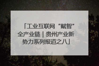 工业互联网“赋智”全产业链｜贵州产业新势力系列报道之八