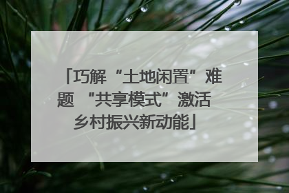 巧解“土地闲置”难题 “共享模式”激活乡村振兴新动能