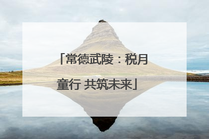 常德武陵：税月童行 共筑未来