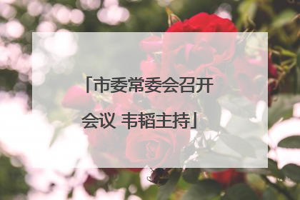 市委常委会召开会议 韦韬主持