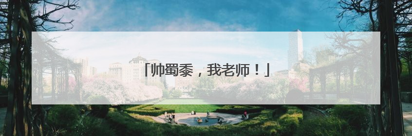帅蜀黍，我老师！