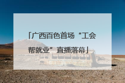 广西百色首场“工会帮就业”直播落幕
