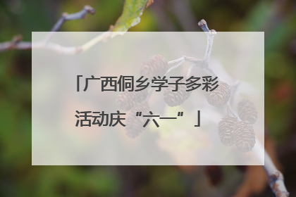 广西侗乡学子多彩活动庆“六一”