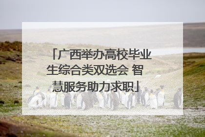 广西举办高校毕业生综合类双选会 智慧服务助力求职