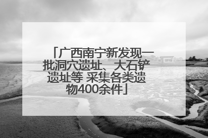 广西南宁新发现一批洞穴遗址、大石铲遗址等 采集各类遗物400余件