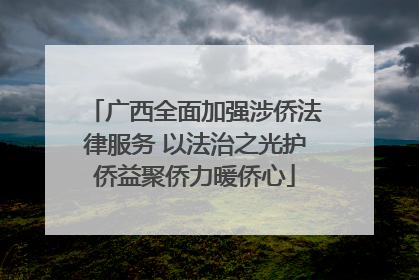 广西全面加强涉侨法律服务 以法治之光护侨益聚侨力暖侨心