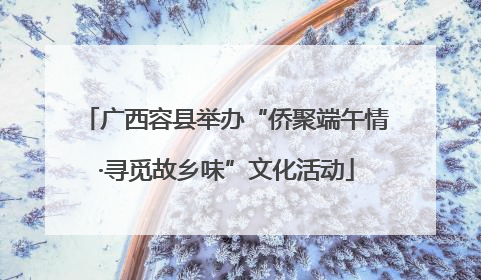 广西容县举办“侨聚端午情·寻觅故乡味”文化活动