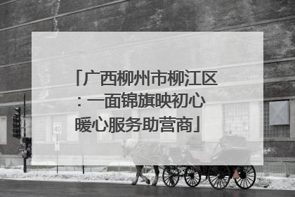 广西柳州市柳江区：一面锦旗映初心 暖心服务助营商