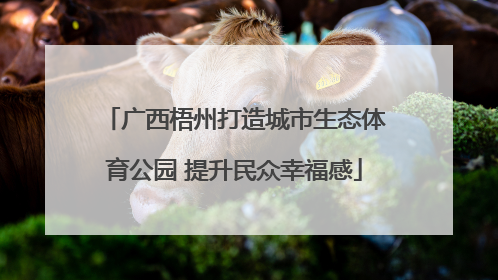 广西梧州打造城市生态体育公园 提升民众幸福感
