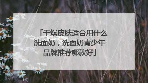干燥皮肤适合用什么洗面奶，洗面奶青少年品牌推荐哪款好