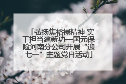 弘扬焦裕禄精神 实干担当建新功—国元保险河南分公司开展“迎七一”主题党日活动