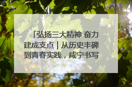 弘扬三大精神 奋力建成支点｜从历史丰碑到青春实践，咸宁书写精神传承新篇章
