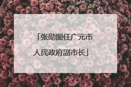 张勋图任广元市人民政府副市长