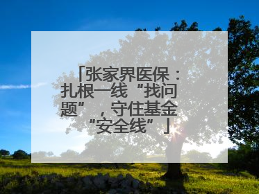 张家界医保：扎根一线“找问题”，守住基金“安全线”