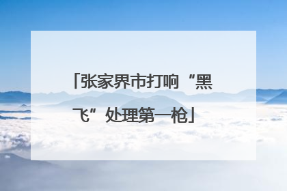 张家界市打响“黑飞”处理第一枪