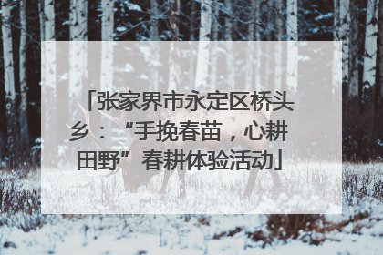 张家界市永定区桥头乡：“手挽春苗，心耕田野”春耕体验活动