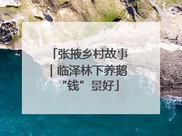 张掖乡村故事｜临泽林下养鹅“钱”景好
