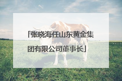 张晓海任山东黄金集团有限公司董事长