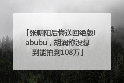 张朝阳后悔送回绝版Labubu，胡润称没想到能拍到108万