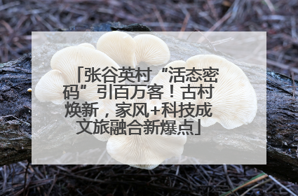 张谷英村“活态密码”引百万客！古村焕新，家风+科技成文旅融合新爆点