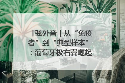 弦外音｜从“免疫者”到“典型样本”：葡萄牙极右翼崛起背后的欧洲困局
