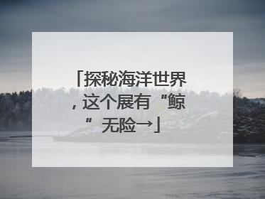 探秘海洋世界，这个展有“鲸”无险→