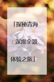 探秘青海：深度全景体验之旅