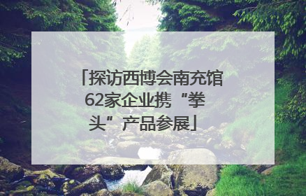 探访西博会南充馆 62家企业携“拳头”产品参展