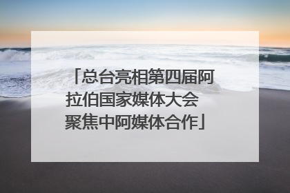 总台亮相第四届阿拉伯国家媒体大会 聚焦中阿媒体合作