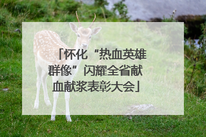 怀化“热血英雄群像”闪耀全省献血献浆表彰大会