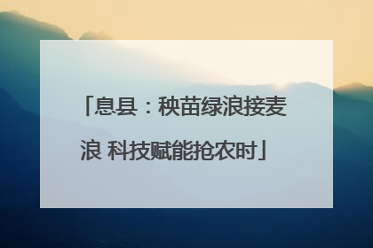 息县：秧苗绿浪接麦浪 科技赋能抢农时