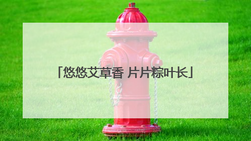 悠悠艾草香 片片粽叶长