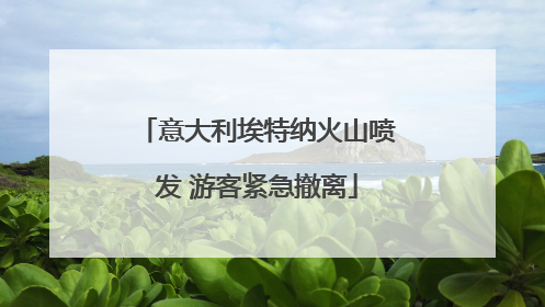 意大利埃特纳火山喷发 游客紧急撤离
