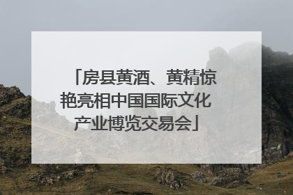房县黄酒、黄精惊艳亮相中国国际文化产业博览交易会