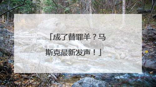 成了替罪羊？马斯克最新发声！