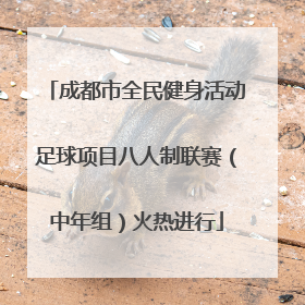 成都市全民健身活动足球项目八人制联赛（中年组）火热进行
