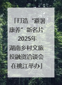 打造“避暑康养”新名片 2025年湖南乡村文旅投融资洽谈会在桃江举办
