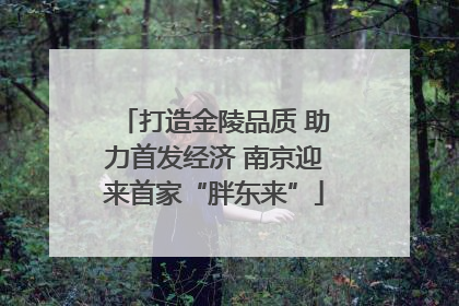 打造金陵品质 助力首发经济 南京迎来首家“胖东来”
