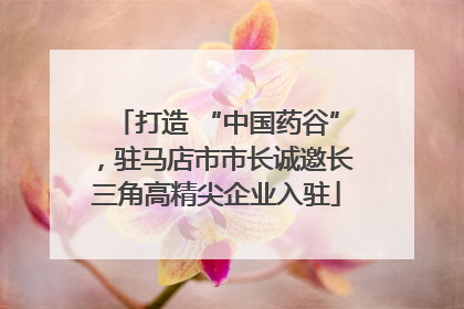打造 “中国药谷”，驻马店市市长诚邀长三角高精尖企业入驻