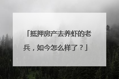 抵押房产去养虾的老兵，如今怎么样了？